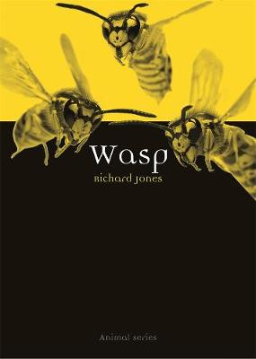 Animal: Wasp