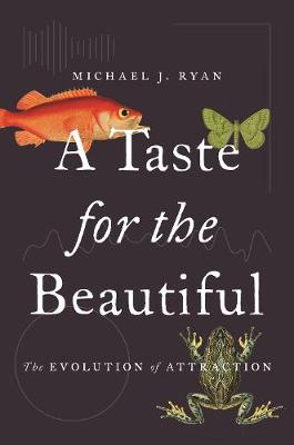 A Taste for the Beautiful: The Evolution of Attraction