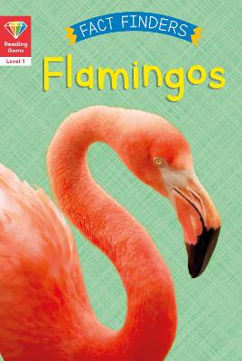 Reading Gems - Level 1: Fact Finders: Flamingoes