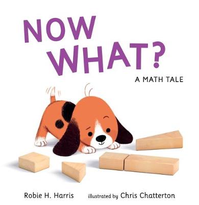 A Maths Tale: Now What?