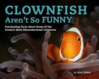Misunderstood Creatures: Clownfish Aren't So Funny