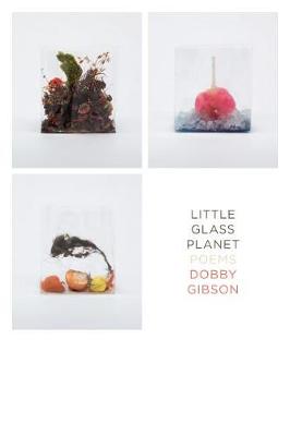 Little Glass Planet (Poetry)