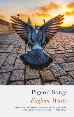 Pigeon Songs (Poetry)