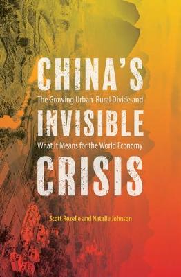 China's Invisible Crisis: The Growing Urban-Rural Divide and What It Means for the World Economy