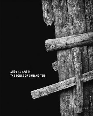 Andy Summers: The Bones of Chuang Tzu