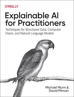 Explainable AI for Practitioners