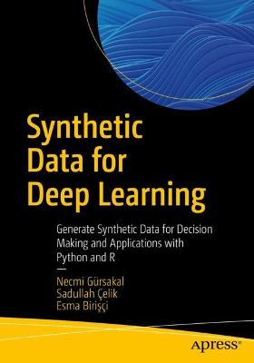 Synthetic Data for Deep Learning  (1st Edition)