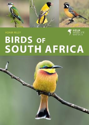 Helm Wildlife Guides #: Birds of South Africa