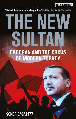 New Sultan, The: Erdogan and the Crisis of Modern Turkey